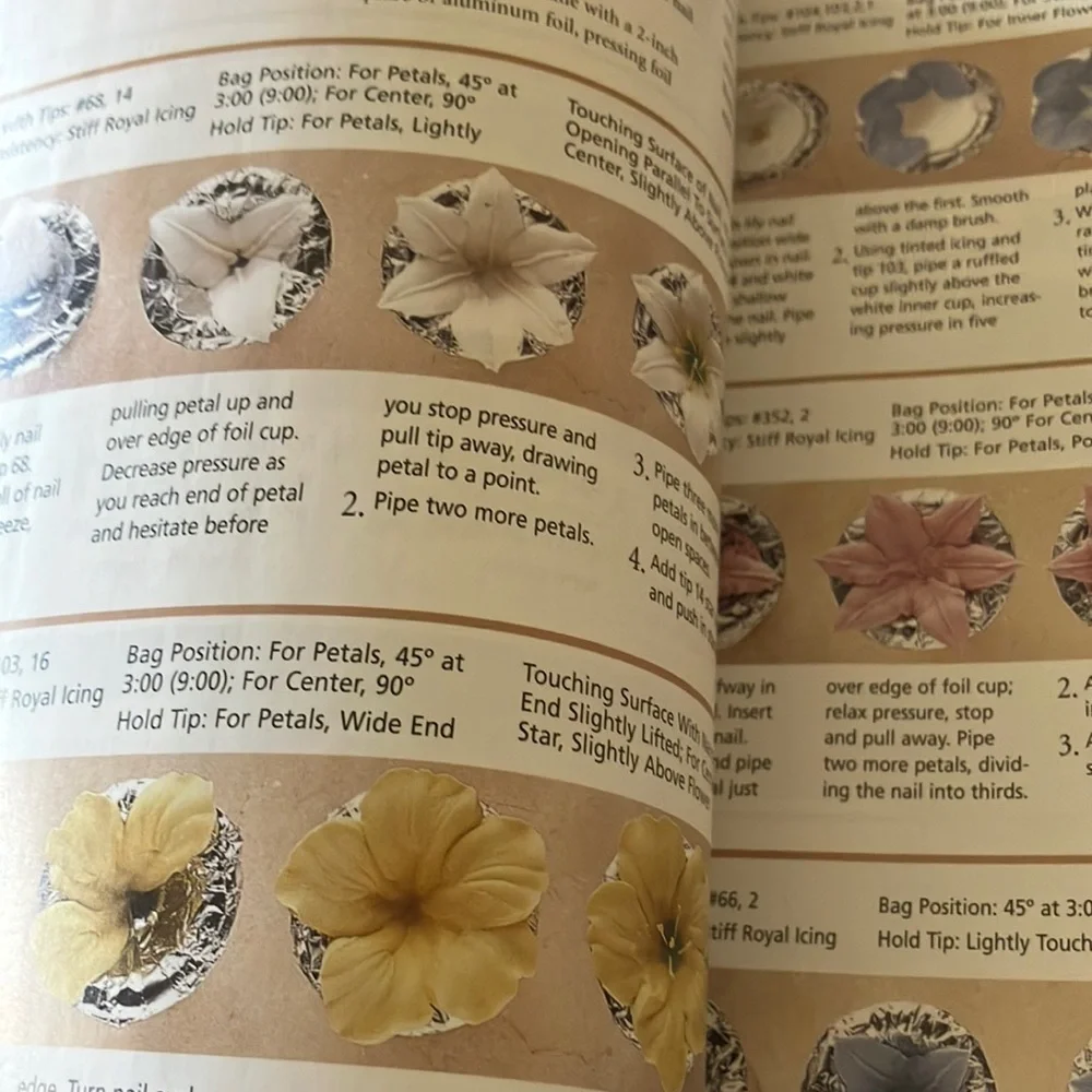 Set of‎ Three Cake & Cupcake Decorating Books